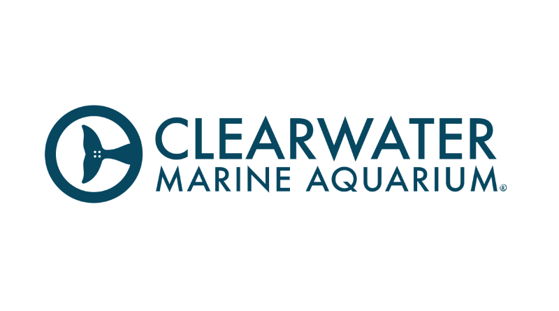 clearwater marine aquarium - click here to learn more